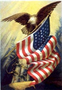 eagle-on-us-flag