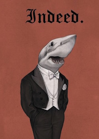 indeed shark